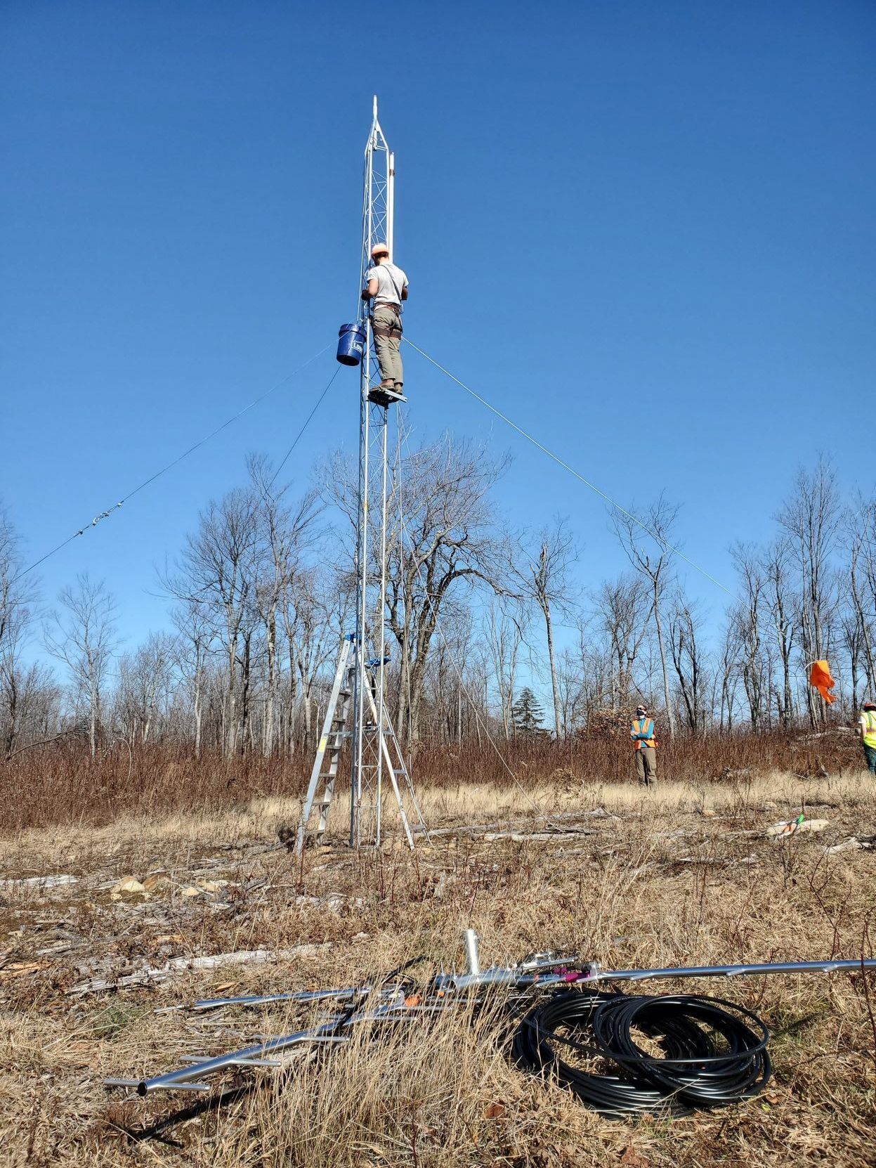 Motus wildlife tracking station